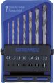 Dremel® Hassas delici uç seti (628) 2615062832
