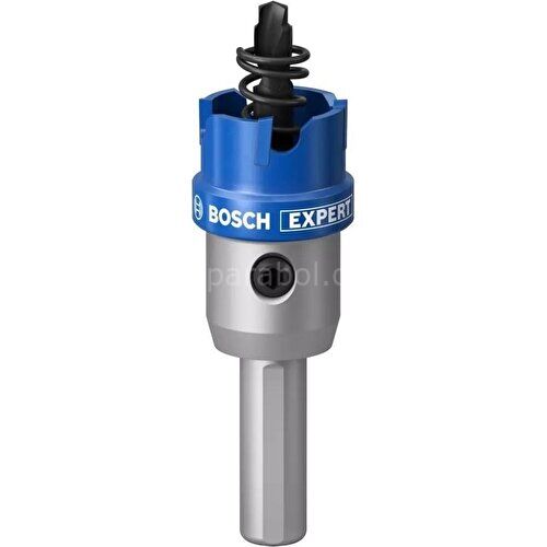 Bosch Expert Tct Elmas Uçlu Panç 22 mm