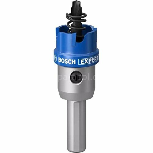Bosch Expert Tct Elmas Uçlu Panç 22 mm