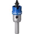 Bosch Expert Tct Elmas Uçlu Panç 20 mm
