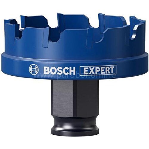 Bosch 51 mm Çelik-Inox Için Özel Seri Panç 2608900500