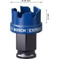 Bosch Expert Sheet Metal Delik Açma Testeresi 25 x 5 mm