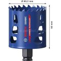 Bosch 60 mm Expert Sert Malzemeler Için Panç 2608900429