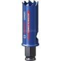Bosch 22 mm Expert Sert Malzemeler Için Panç 2608900420