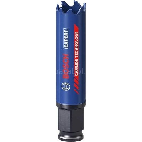 Bosch 20 mm Expert Sert Malzemeler Için Panç 2608900419