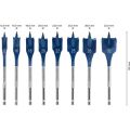 12-32 mm 8’li Expert Yaprak Matkap Ucu Seti 2608900335