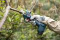 Bosch Professional Pro Pruner (Solo) Bahçe Makası 06019K1020