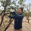 Bosch Professional Pro Pruner (Solo) Bahçe Makası 06019K1020