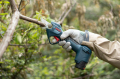 Bosch Professional Pro Pruner (Solo) Bahçe Makası 06019K1020