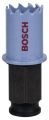 Bosch - Special Serisi Metal Ve Inox Malzemeler için Delik Açma Testeresi (Panç) 21 mm 2608584782