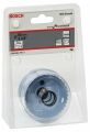 Bosch - Special Serisi Metal Ve Inox Malzemeler için Delik Açma Testeresi (Panç) 60 mm 2608584799