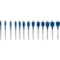 Bosch 10-32 mm 13’lü Expert Yaprak Matkap Ucu Seti 2608900336