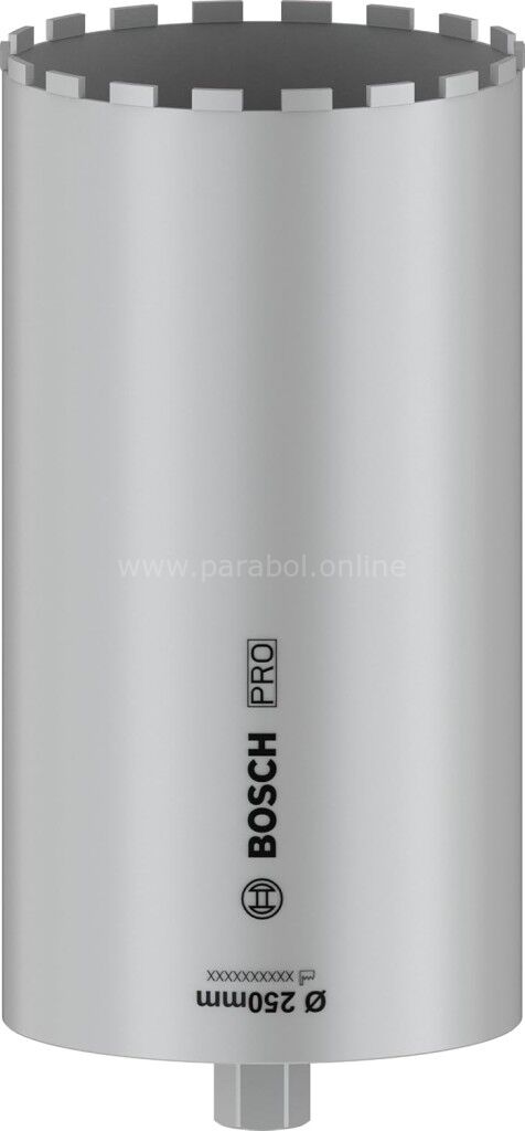 Bosch PRO Elmas Sulu Karot Uç 250x450 mm, 1 1/4'' UNC