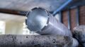Bosch PRO Elmas Sulu Karot Uç 112x450 mm, 1 1/4'' UNC