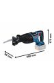 Bosch Professional GSA 185-LI Tek Akülü 5 Ah Tilki Kuyruğu