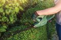 Bosch EasyHedgeCut 18-45Çit Kesme Makinesi 0600849H00
