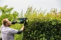 Bosch Universal HedgeCut 70 Çit Kesme Makinesi 06008C0900