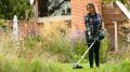 Bosch AdvancedGrassCut 36 (Solo) Akülü Kenar Kesme Makinesi 06008C1K01