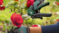 Bosch EasyPrune Budama Makası 06008B2102