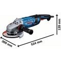 Bosch Professional GWS 30-230 B Büyük Taşlama Makinesi 06018G1000