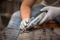 Dremel® 4250 (4250-3/45) F0134250JF
