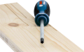 Bosch Profesyonel Torx Tornavida TX40x125 1600A01V0F