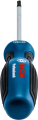 Bosch Profesyonel Torx Tornavida TX25x100 1600A01V0D