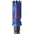 Bosch 25 mm Expert Sert Malzemeler Için Panç 2608900421