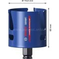 Bosch 73 mm Yapı Malzemeleri Için Panç 2608900472