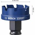 Bosch 40 mm Çelik-Inox Için Özel Seri Panç 2608900499
