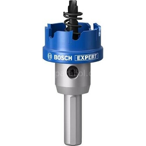 Bosch Expert 30 mm Elmaslı Inox Panç Adaptörlü 2608901413
