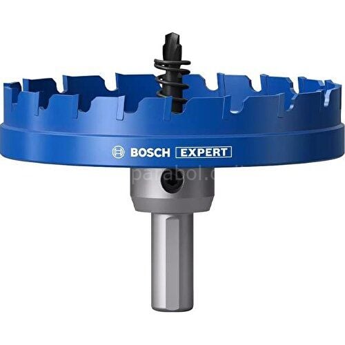 Bosch Expert 100 mm Elmaslı Inox Panç Adaptörlü 2608901449