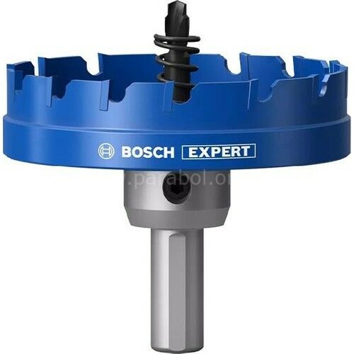 Bosch Expert 75 mm Elmaslı Inox Panç Adaptörlü 2608901444