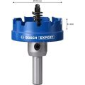 Bosch Expert 49 mm Elmaslı Inox Panç Adaptörlü 2608901432