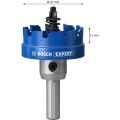 Bosch Expert 47 mm Elmaslı Inox Panç Adaptörlü 2608901430