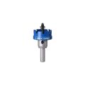 Expert 34 mm Elmaslı Inox Panç Adaptörlü 2608901417